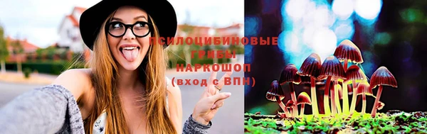 спайс Вуктыл