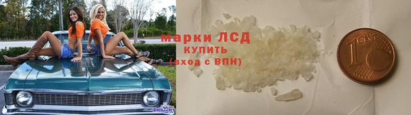 тгк Нея